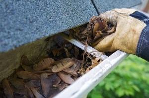Routine gutter cleaning new jersey